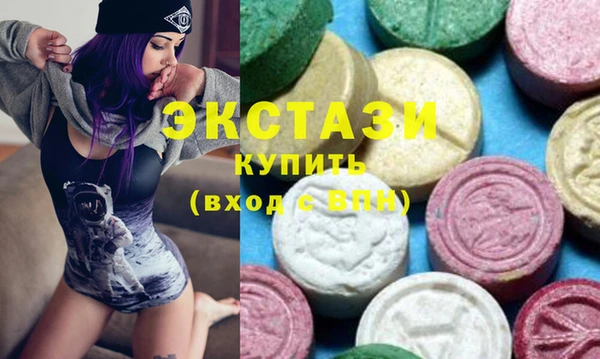 индика Няндома
