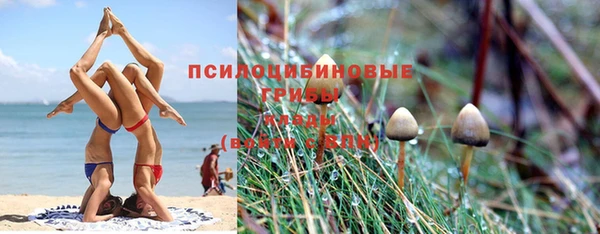 индика Няндома